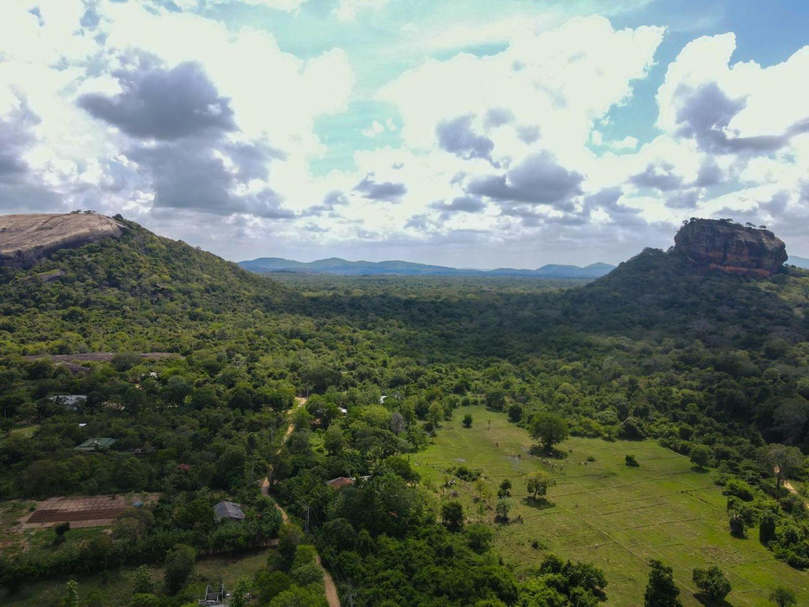 Sigiri Close-Up View Guest Sigiriya Exteriér fotografie